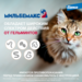 Мильбемакс® Таблетки от гельминтов со вкусом говядины для крупных кошек – 2 таблетки – интернет-магазин Ле’Муррр