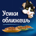 Влажный корм Felix Аппетитные кусочки для взрослых кошек, с ягненком в желе – интернет-магазин Ле’Муррр